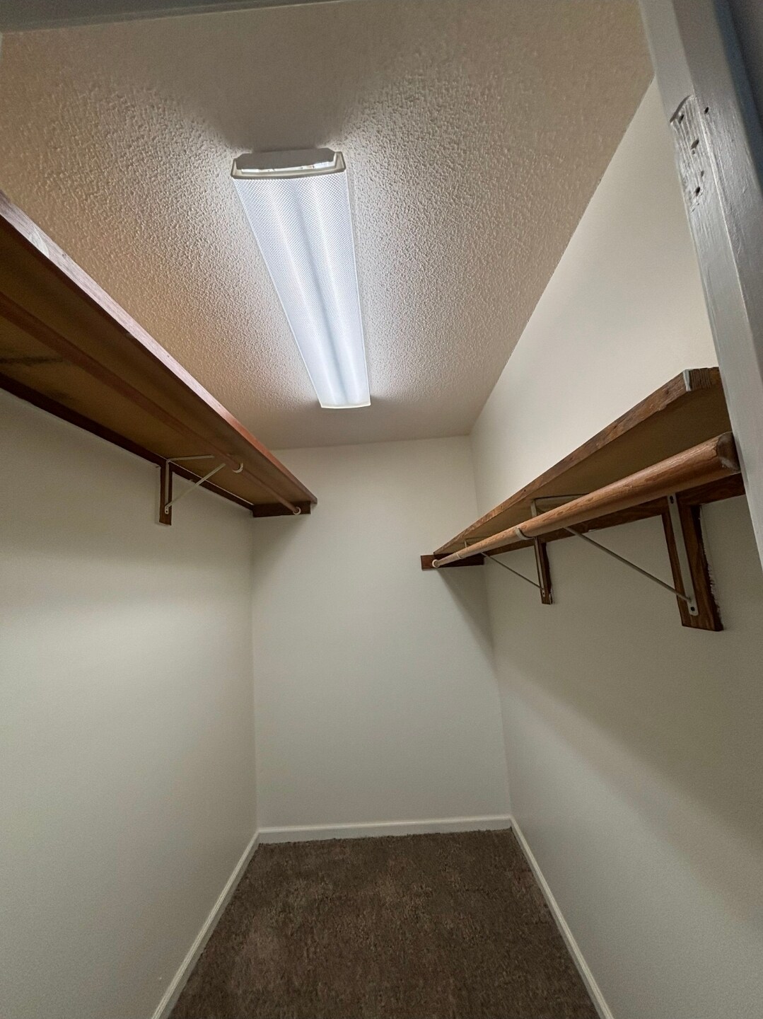 Building Photo - 113 Moss Ln