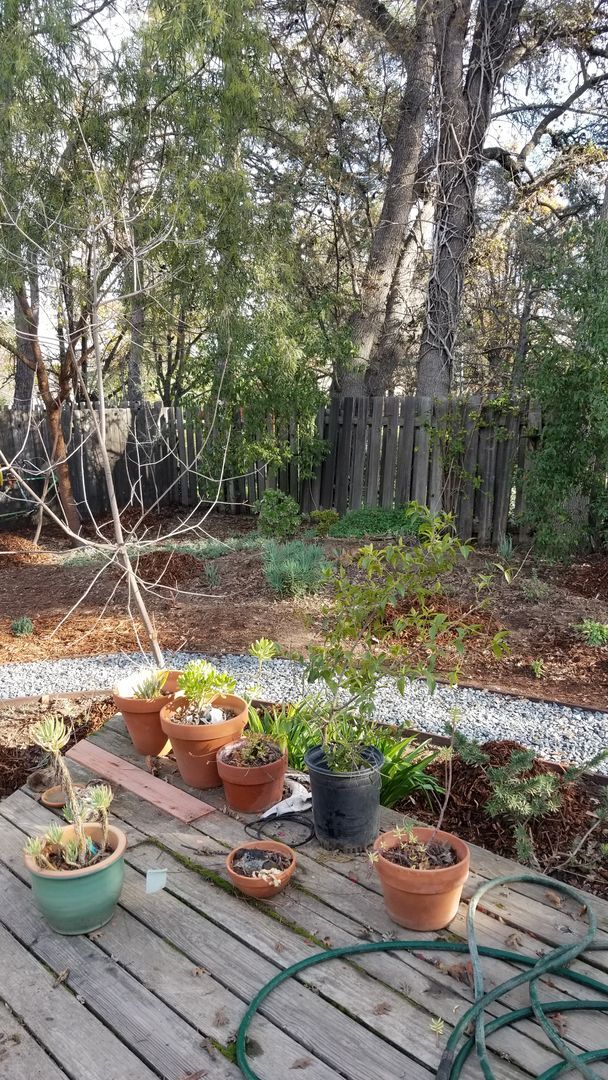 Building Photo - Newly Remodeled Home in East Davis