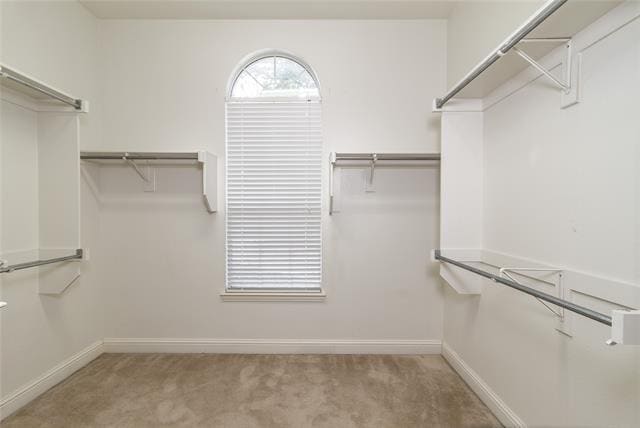 Building Photo - 3418 United Ln