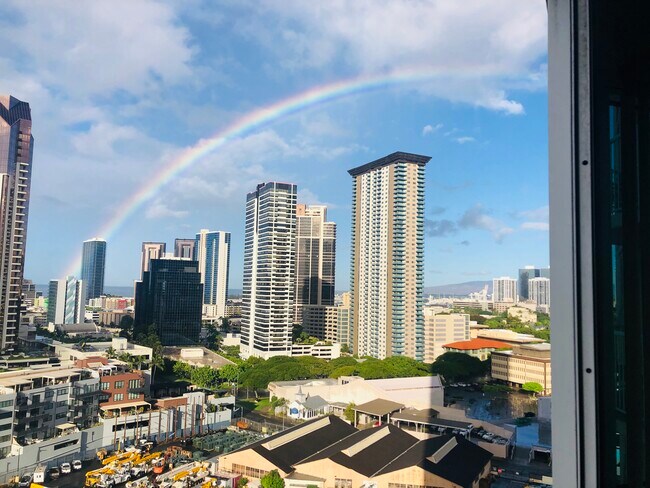 Rainbows for Days - 801 S King St