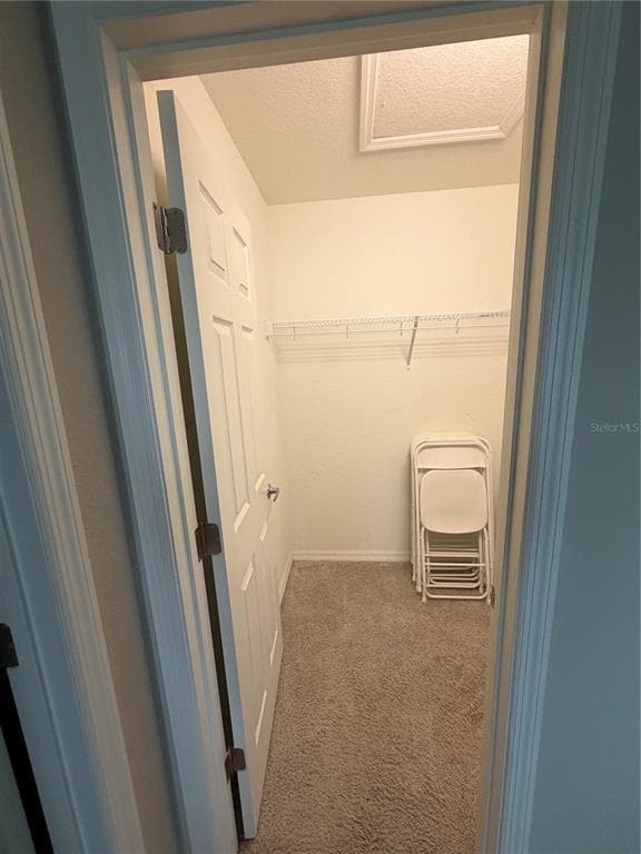 Building Photo - 3024 Fieldwood Cir