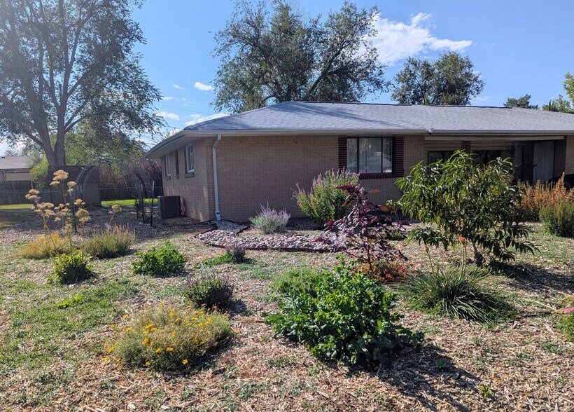 Front yard landscaped with low maintenance plants - 61 Newland St