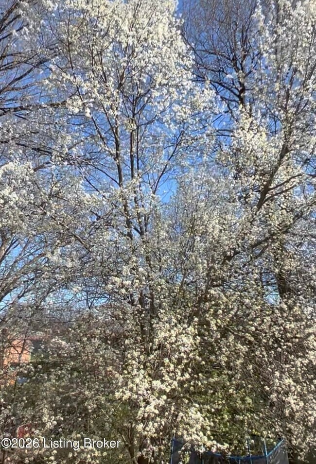 Building Photo - 3012 Lexham Rd