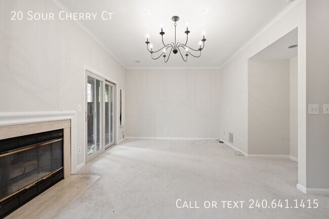 Building Photo - 20 Sour Cherry Ct