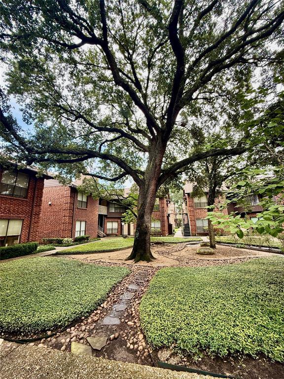 Building Photo - 3100 Walnut Bend Ln