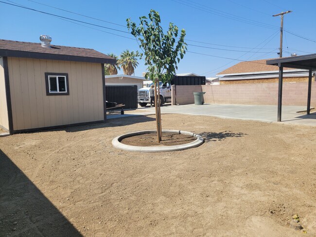 Backyard - 2180 Elm St