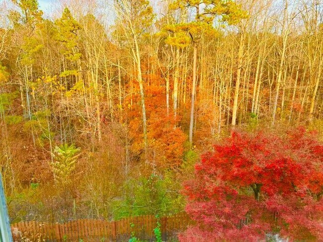 Building Photo - 12872 Waterside Dr