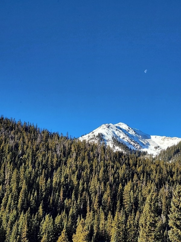 Building Photo - 146 Yonley