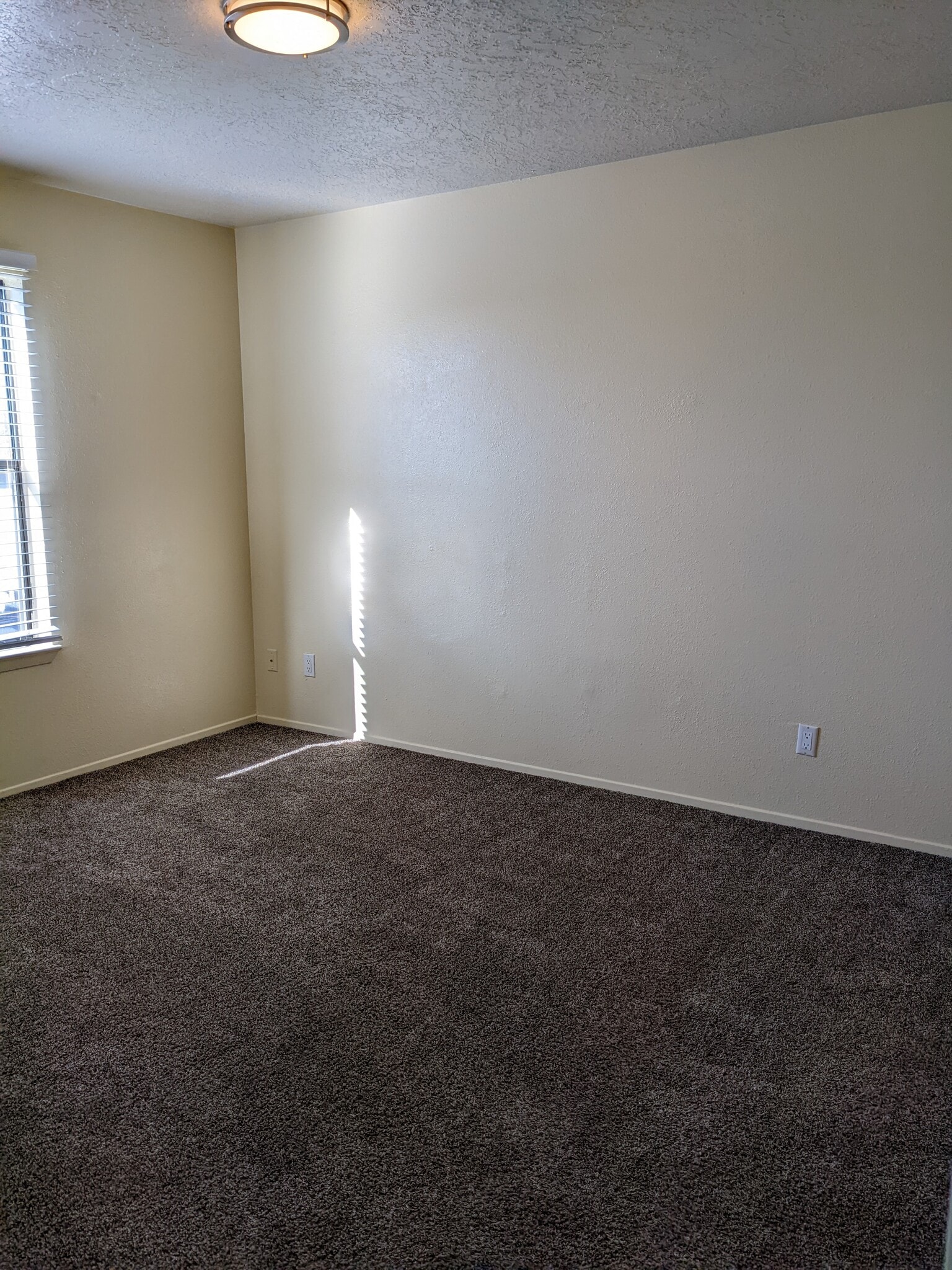 Large master bedroom - 3513 Tulane Drive Northeast