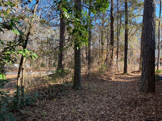 Building Photo - Really Cute Home in Lake Wildwood