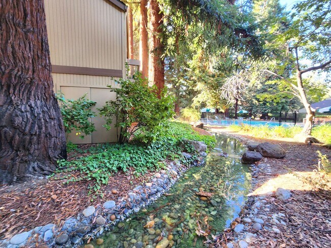 Building Photo - Charming 2BR/2BA Condo Steps from Downtown Mountain View