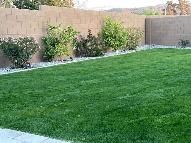 Huge backyard with beautiful South Mountain views. - 7027 S 13th Way