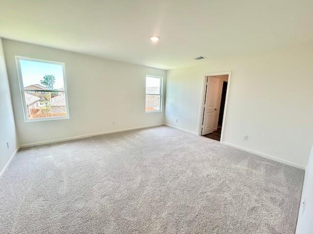 Building Photo - 4509 Firewheel Dr