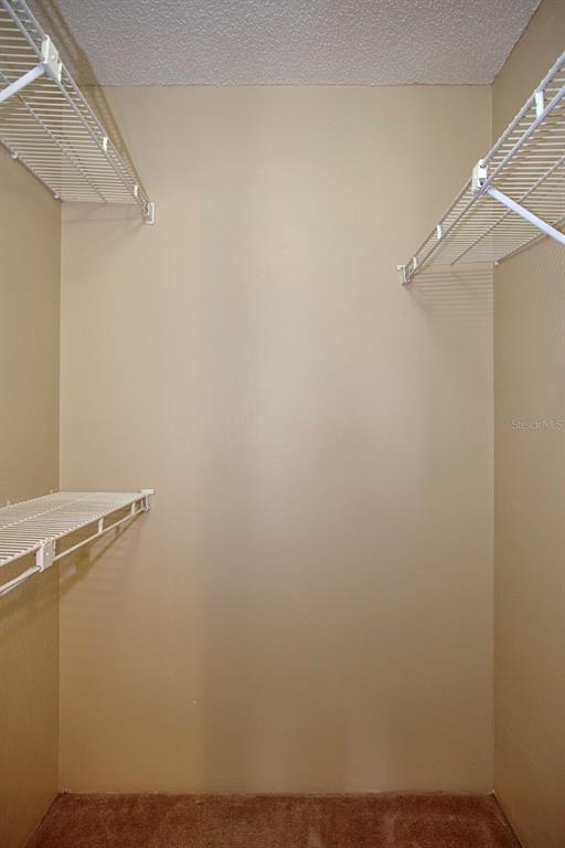 Building Photo - 351 Lone Hill Dr