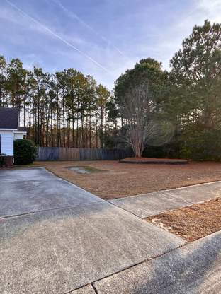 Building Photo - 2020 Brandymill Ln