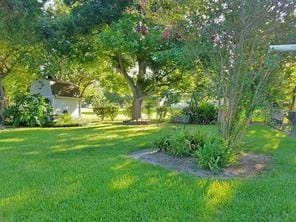 Building Photo - 206 Pecan Dr