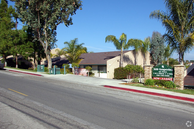 Primary Photo - Grapevine Apartments