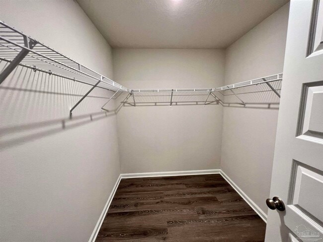 Building Photo - 4119 Whitetail Ln