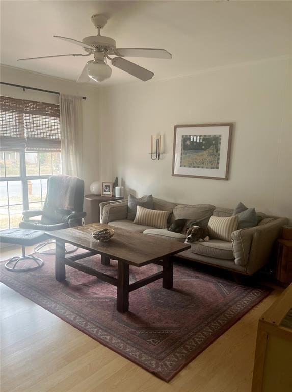 Building Photo - 204 Sheraton Ave