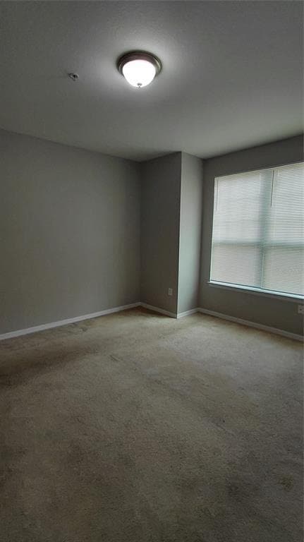 Building Photo - 2000 Erving Cir