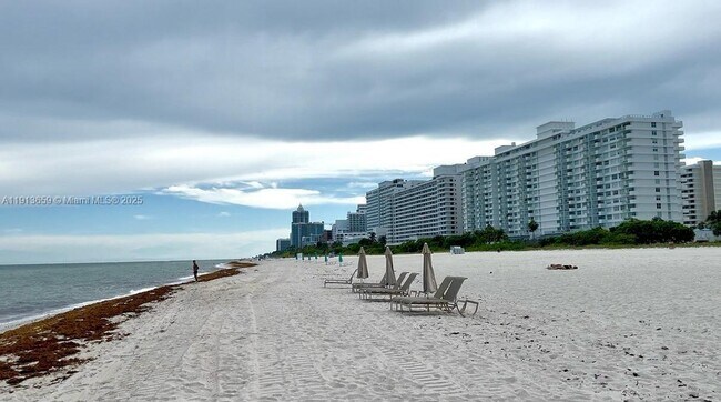 Building Photo - 5600 Collins Ave