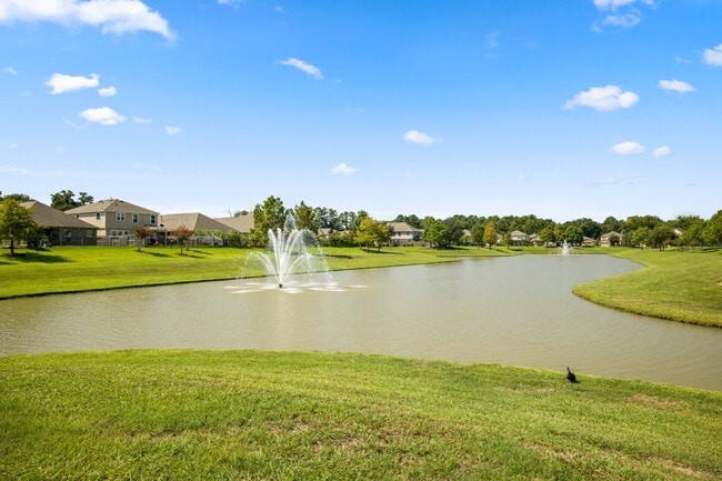 Building Photo - 4118 Lake Cypress Cir