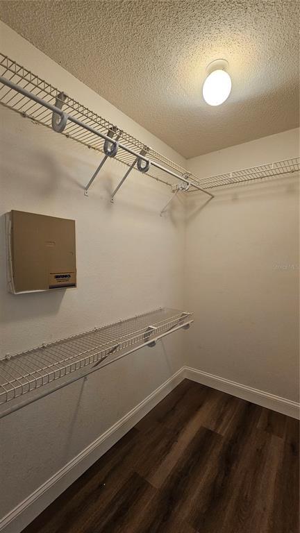 Building Photo - 3938 Creek Woods Dr