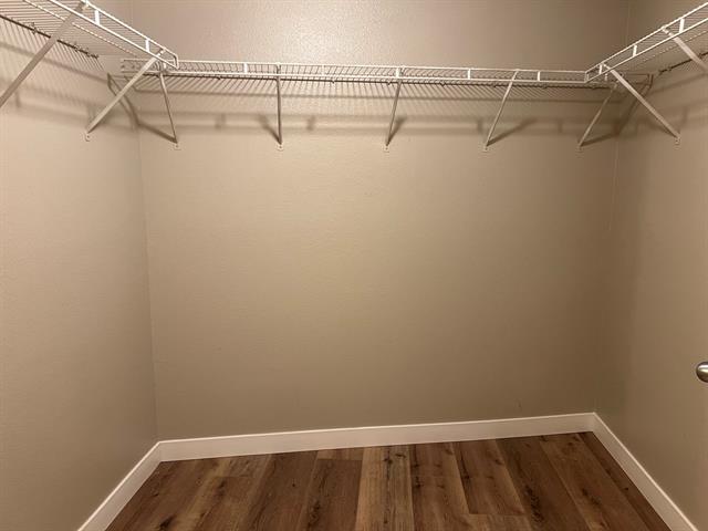 Building Photo - 3102 Kings Rd