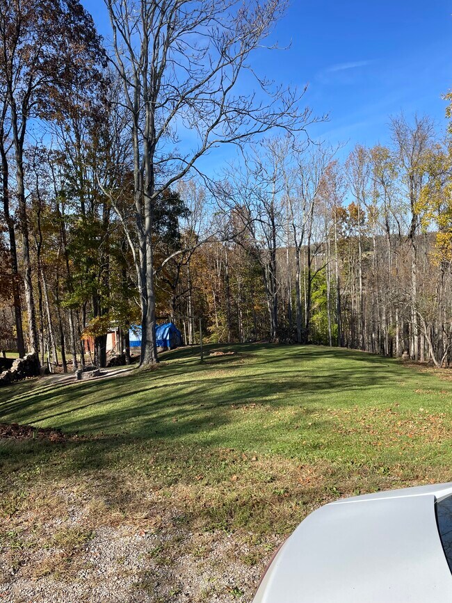 Back Yard - 660 Black Bear Run Rd