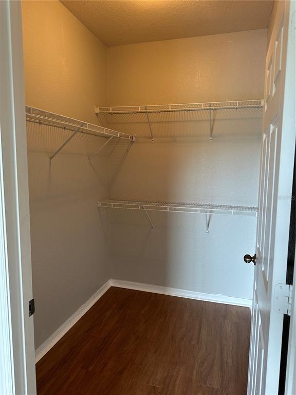 Building Photo - 10201 Courtney Palms Blvd