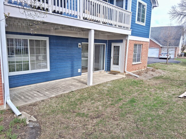 Backyard - 224 Charleston Ct