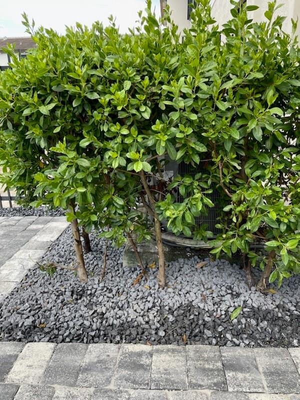 Building Photo - 4668 Banker Terrace