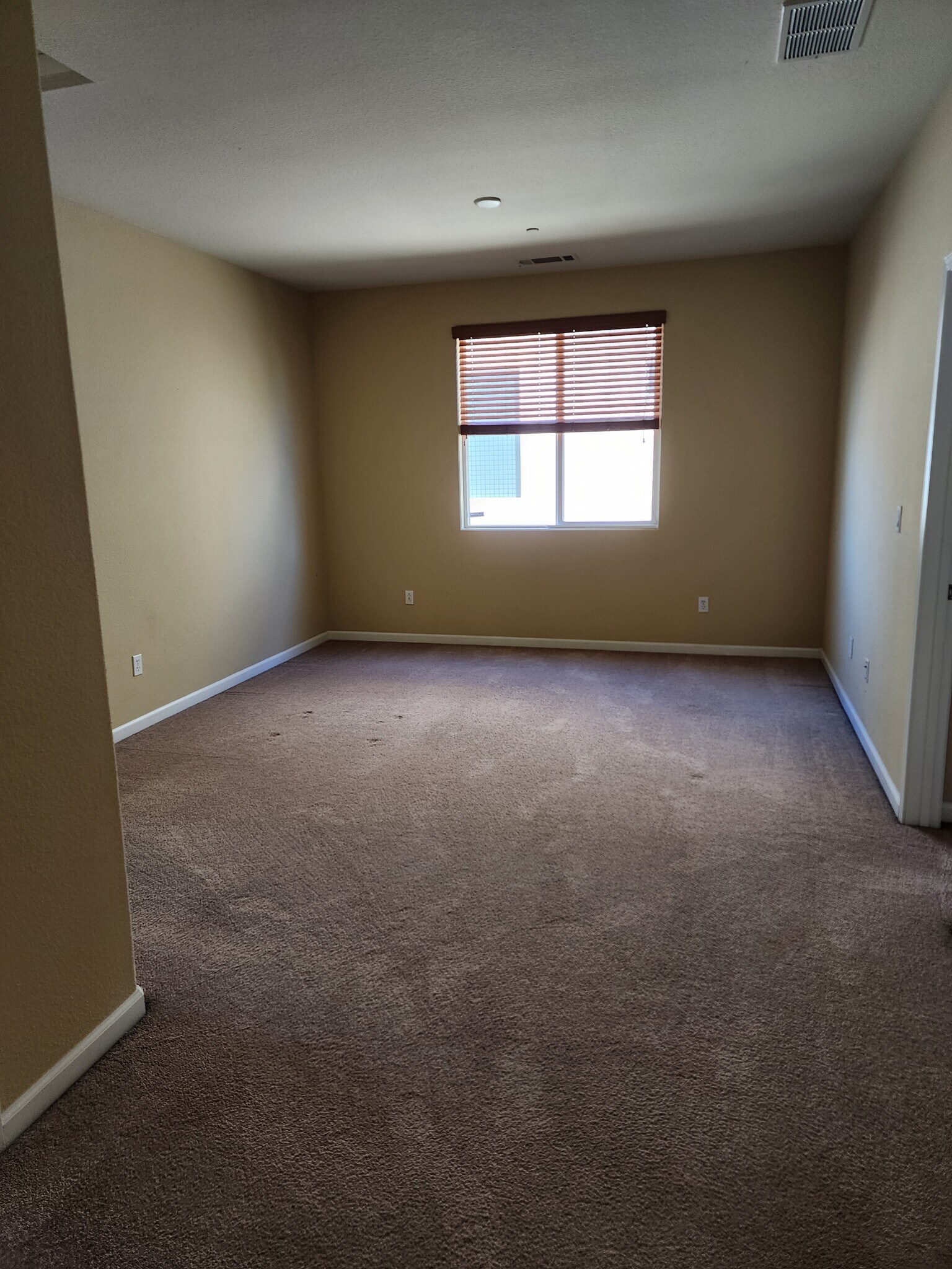 Loft - 207 Hibiscus Way