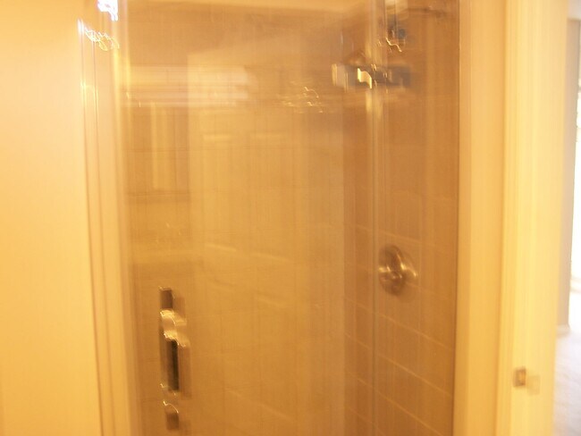 master bath shower - 1527 Myrtle Dr