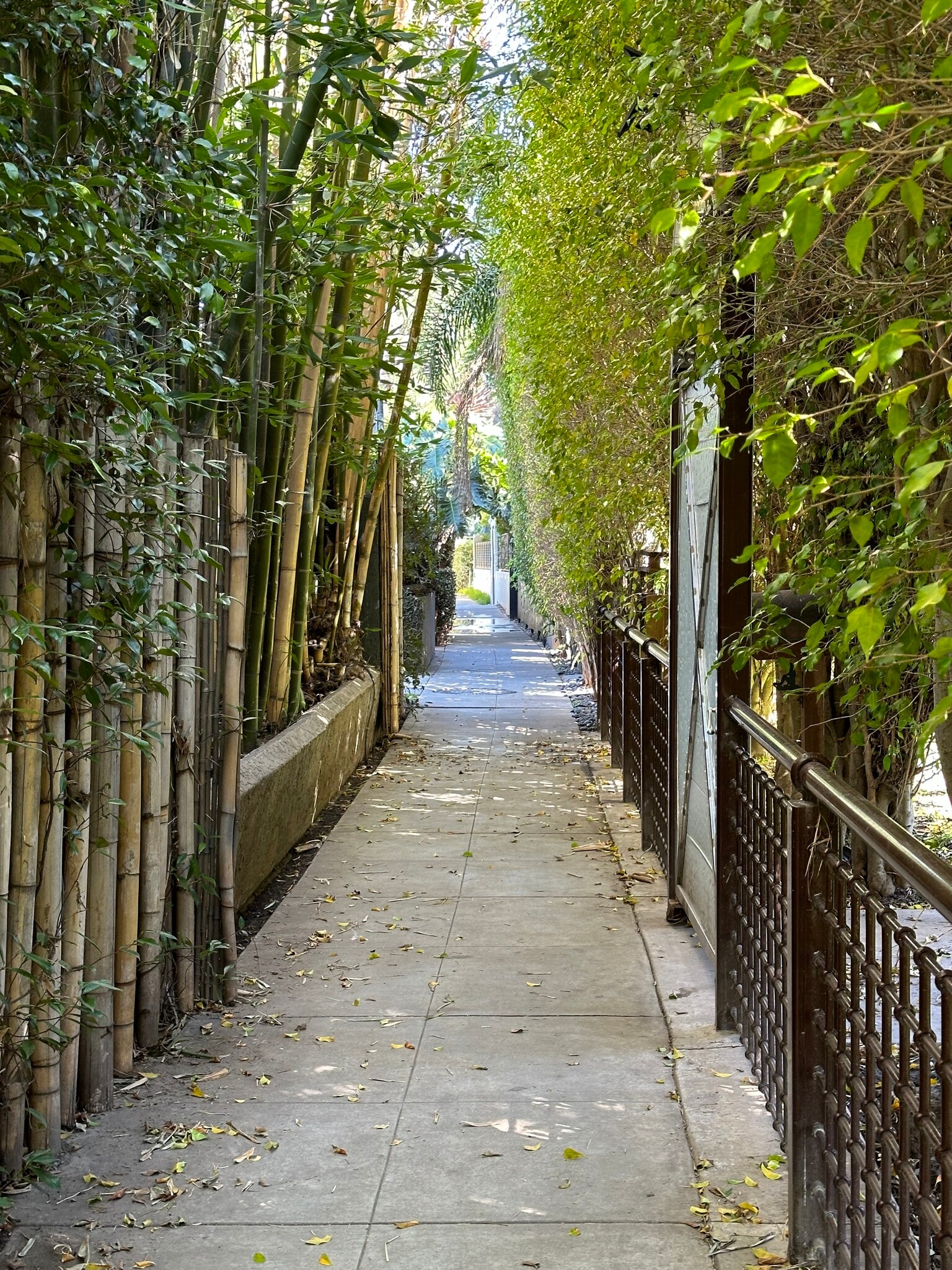 Walk street - 1615 Shell Ave