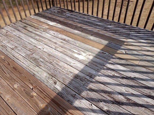 Building Photo - 3/2 with Large Bonus Room  - Split level home with large backyard