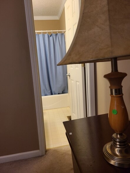 Building Photo - 5004 Falling Creek Ln