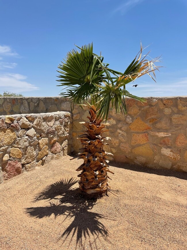 Building Photo - 12960 Cozy Cove Ave