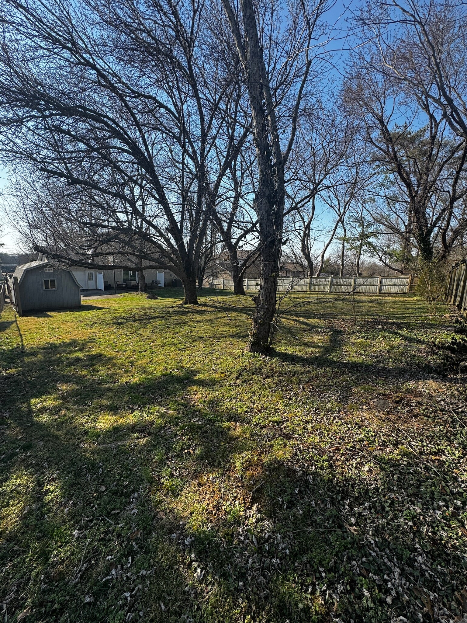 From back of lot - 5128 Brucewood Dr
