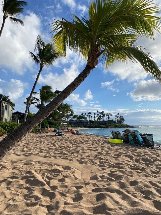 Building Photo - Napili - Newer 2 bedroom, 1 bath. Across the street from Napili Bay.