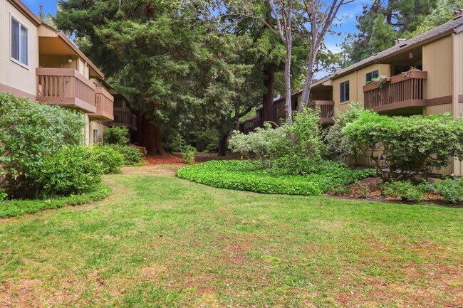 Building Photo - Move-In Ready 2 Bedroom/1 Bathroom Condo in The Heart of Mountain View!
