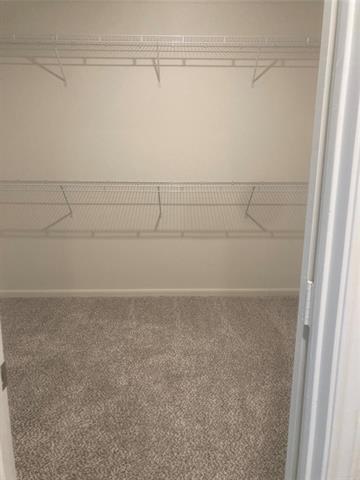 Building Photo - 608 Fountain Dr