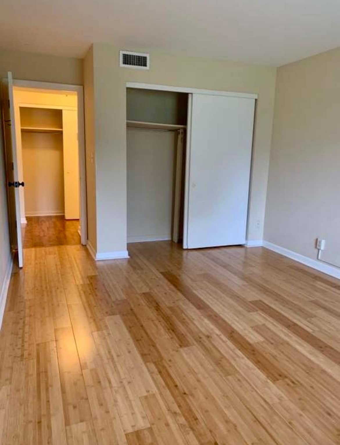 Bedroom closet - 1900 Richard Jones Rd