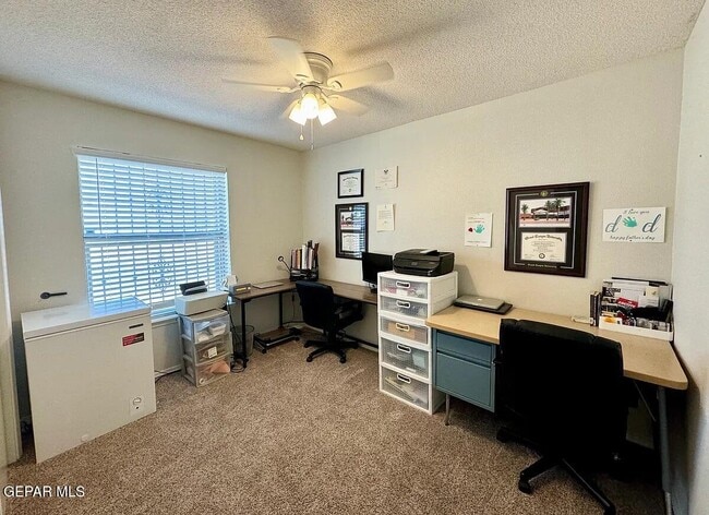 Building Photo - 10041 Paloma Dr
