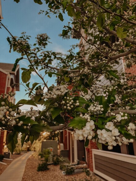 Building Photo - 14343 E 1st Dr