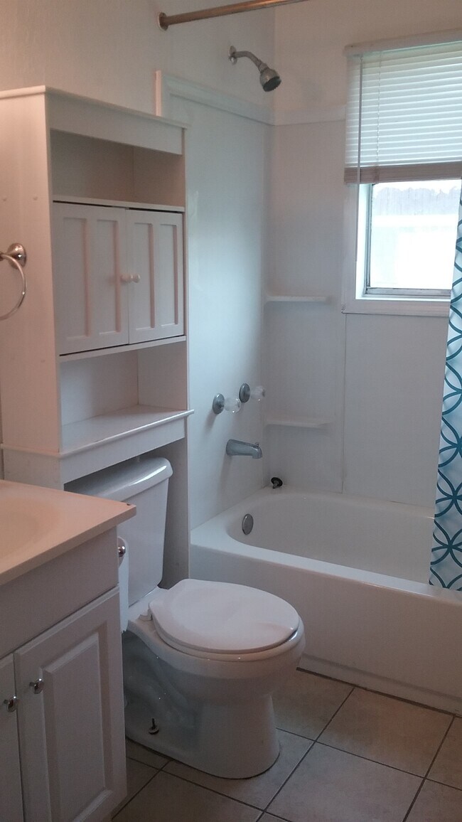 hall bathroom - 15010 County Road 1876