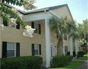 Primary Photo - 101 Lewfield Cir