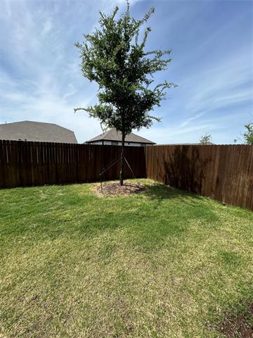 Building Photo - 2003 Pine Stone Ln