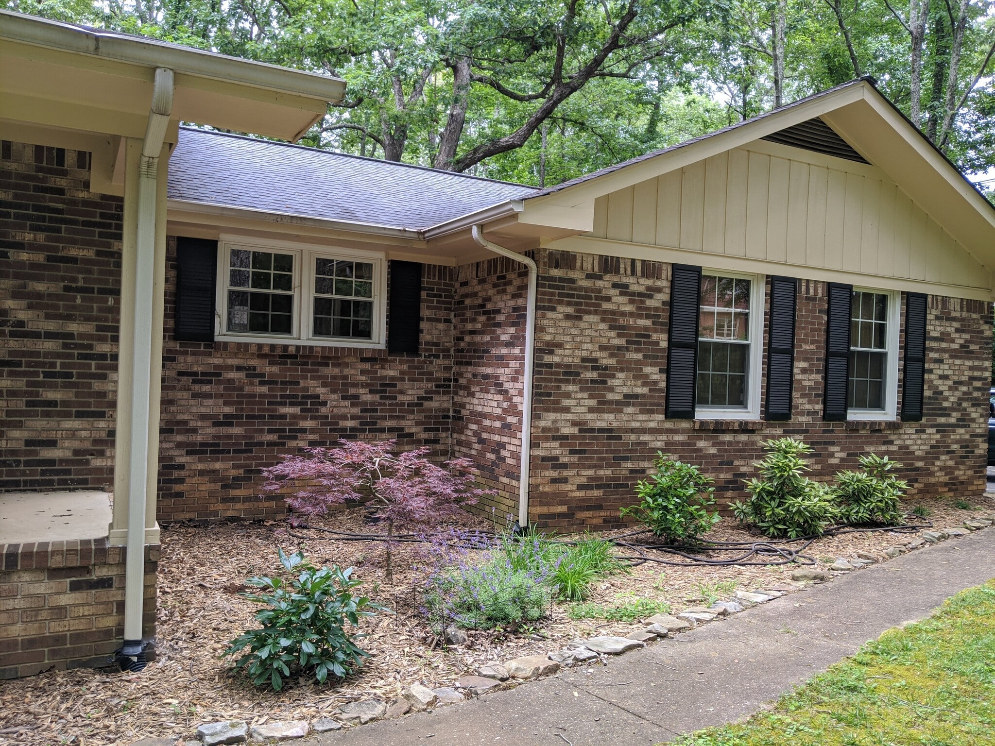 Gorgeous low maintenance landscaping - 303 Ferncliff Dr