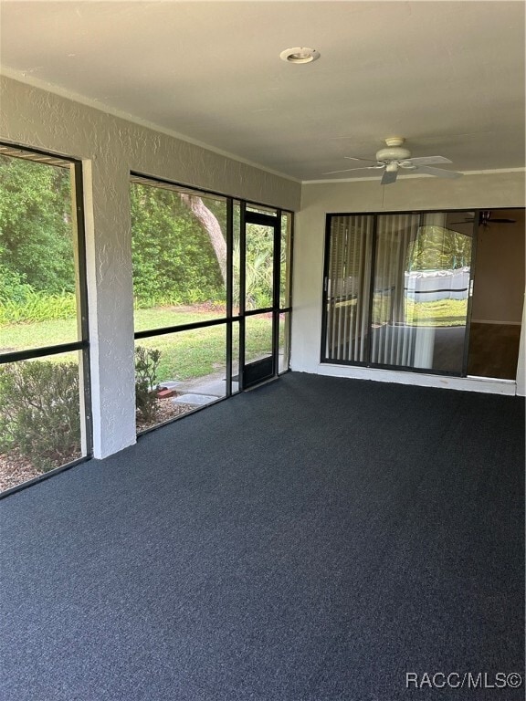 Building Photo - 13 Boxelder Ct